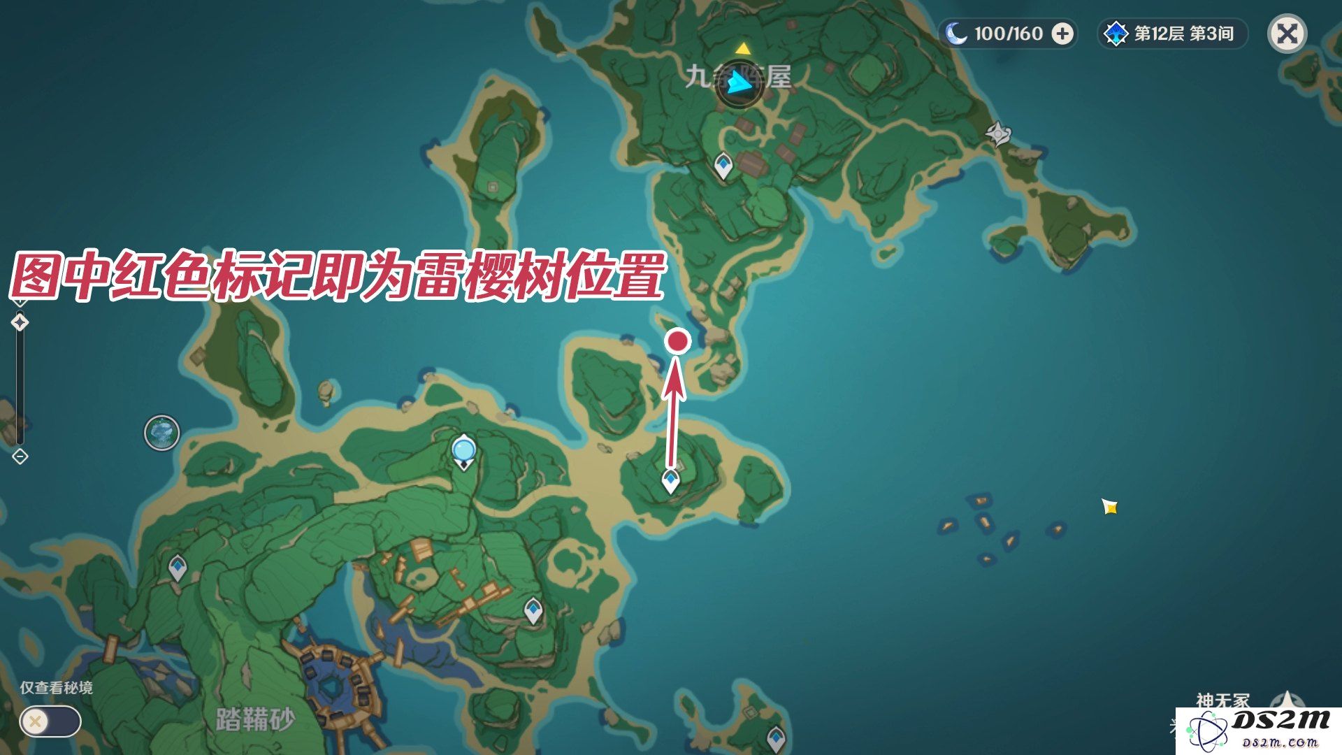 原神雷樱树全位置在哪