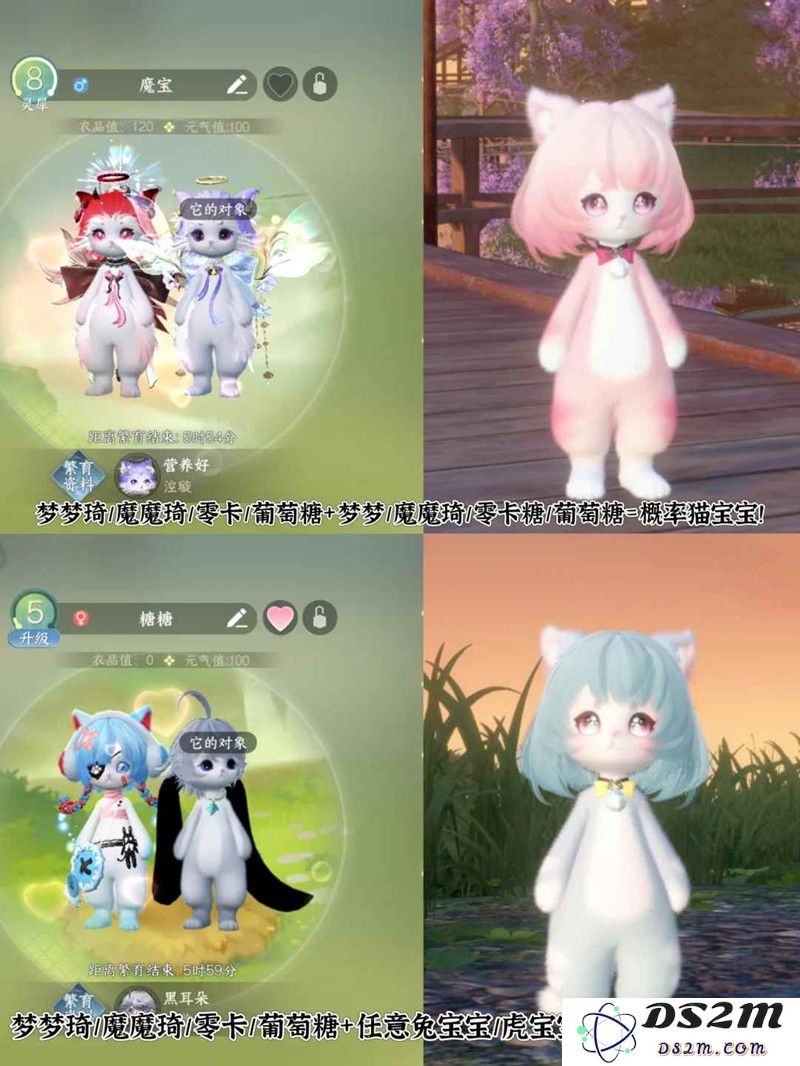 逆水寒手游宠物繁育攻略 新猫宝宝提前繁育版：揭秘神秘的猫咪繁育秘笈？ 一起养成萌宠吧！