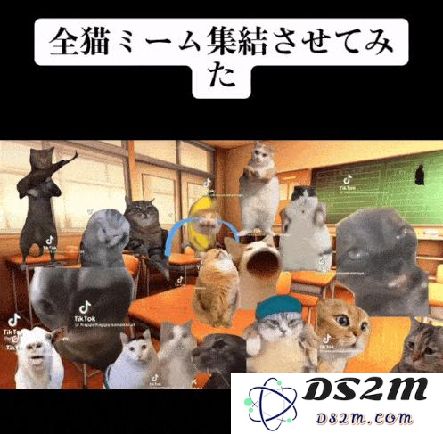 3个月DAU增长2.8倍，这款AI图片App避免了“一波流魔咒”？
