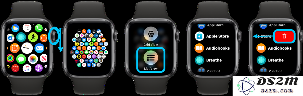 如何快速方便地查看所有 Apple Watch 应用程序的完整列表？