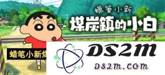 蜡笔小新在煤炭镇遇到的小白小花的各种问题与解答分析