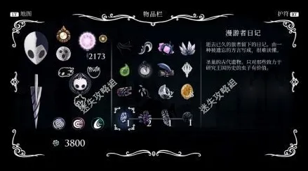 空洞骑士 限量版武器使用心得与团队配合策略分享：全面解析空洞骑士的游戏攻略及技巧