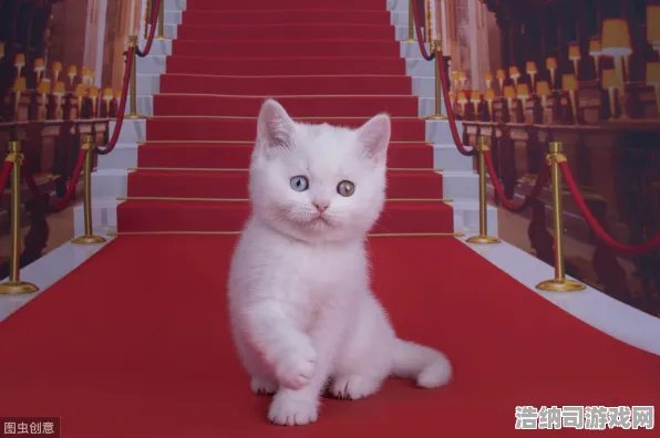 节日特供 复苏的猫之大陆 未公开信息 全面评测：复苏的猫之大陆 全球赛事动态 复苏的猫之大陆：全球赛事动态到战术体系解析