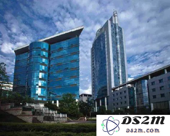 在元宇宙创新应用先导区的建设中，重庆凭借何种底气实现领先发展？