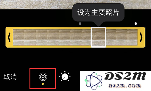 如何在 iPhone 上将动感的实况照片轻松转换为静态图片以便分享和保存？