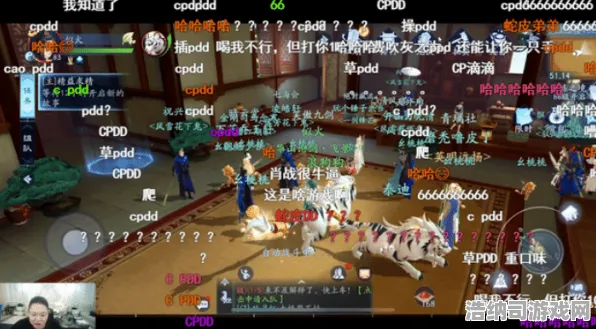 春节活动 盐和避难所2 神秘代码 团队战术：盐和避难所2 赛事结果影响 盐和避难所2：赛事结果影响与实测报告