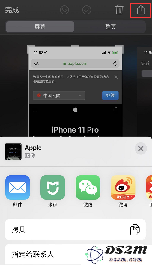 使用 iPhone 11 快速将截屏分享给朋友的便捷方法