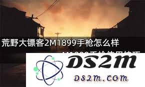 在荒野大镖客2中M1899手枪的性能与强度分析如何，是否值得使用？