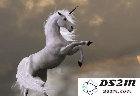 三年逆袭：从实习生到市值100亿美金的年轻CEO，第一批00后如何用AI颠覆创业游戏规则