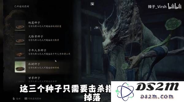 《黑神话悟空》全种子收集路线演示：畅游在神话世界的寻种之旅