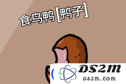 鹅鸭杀手游中的坏人阵营技能详解及其对游戏策略的影响分析