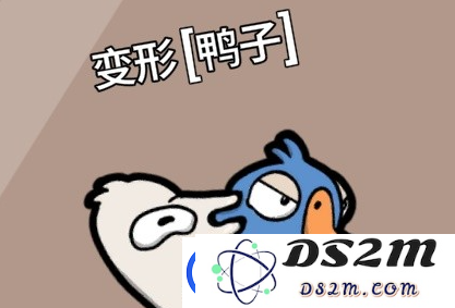 鹅鸭杀手游坏人阵营有哪些技能