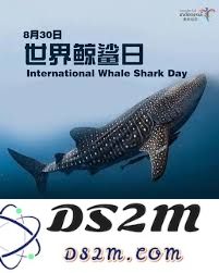 世界鲸鲨日的具体庆祝日期是什么时候，如何来参与这一重要的海洋保护活动？