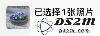 iOS 13 新隐私功能：分享照片时可轻松隐藏位置信息以保护用户隐私