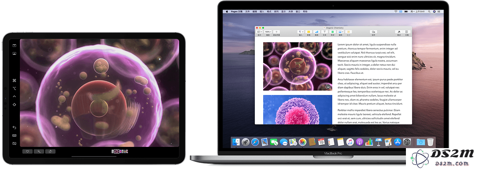 如何利用“随航”功能轻松将你的电脑屏幕内容转移到 iPad 上，实现无缝协作与多任务处理