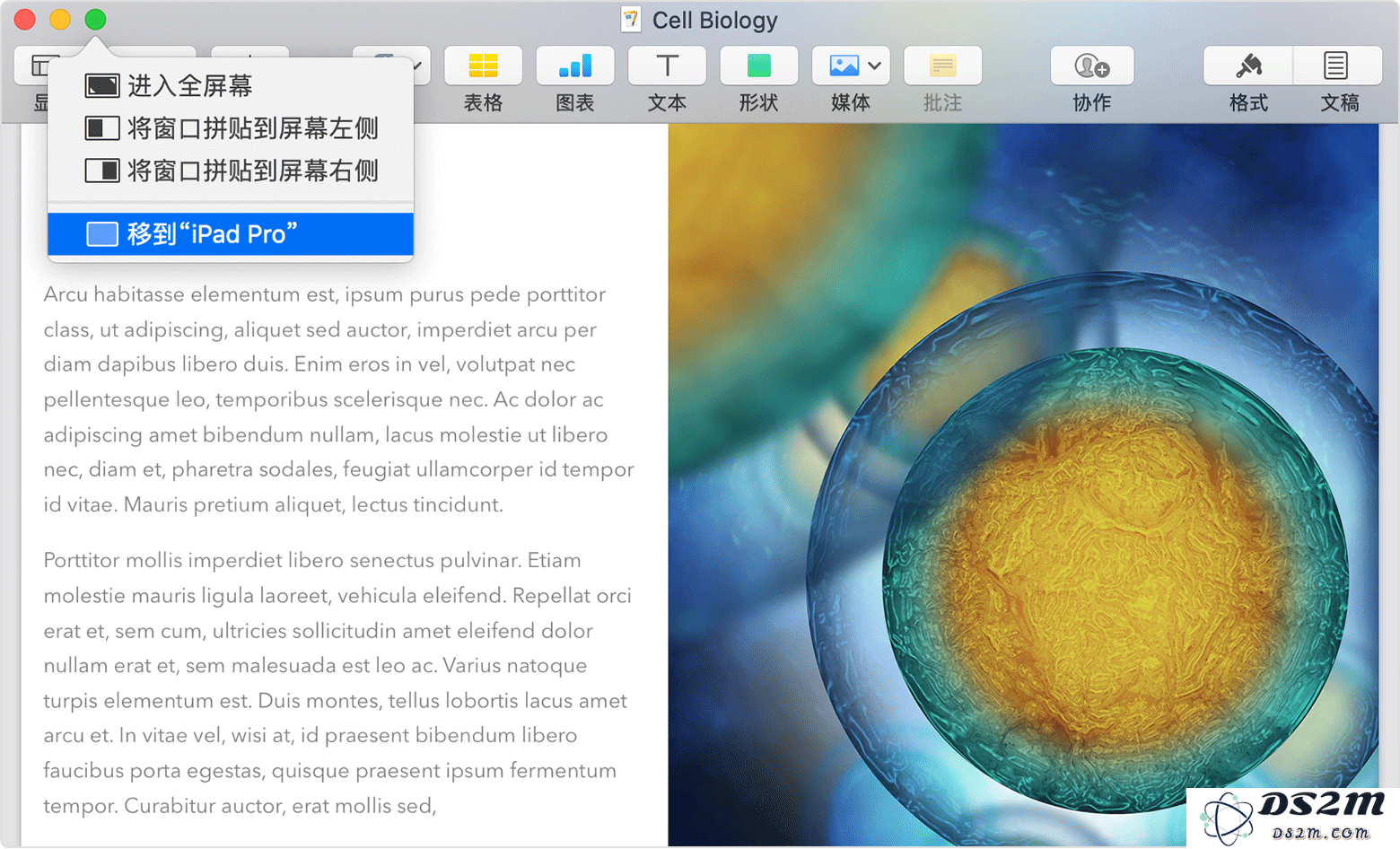 如何借助“随航”功能将电脑画面转移至 iPad？