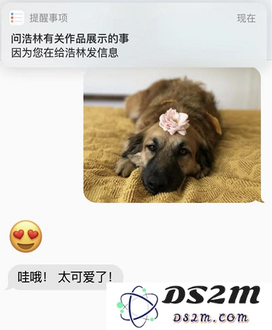 升级 iOS 13 后，这些操作你会了吗？
