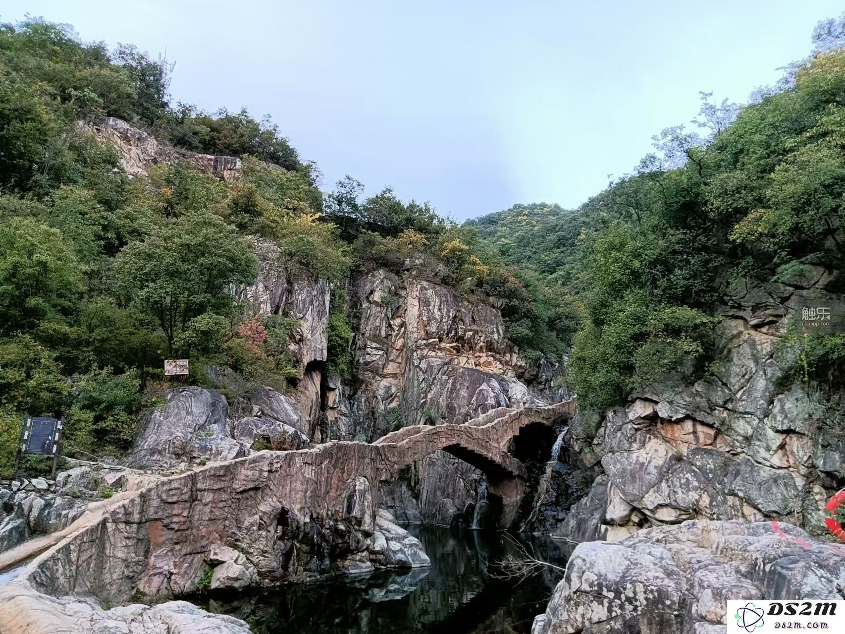 走出特训学校，心理老师的心路历程与未来展望