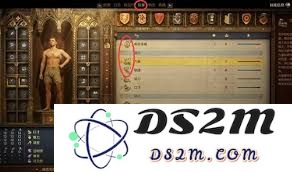 天国拯救2的游戏设定中值得关注的细节解析与揭秘