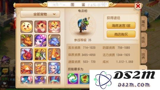 梦幻西游中血宠龟丞相的全面培养攻略与技巧分享