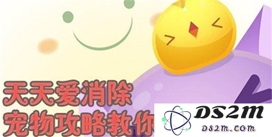 天天爱消除中宠物选择的最佳攻略：如何精心挑选萌宠并懂得珍惜每一次相伴的时光