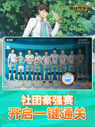 关于排球少年新的征程社团解散的深度探讨与反思