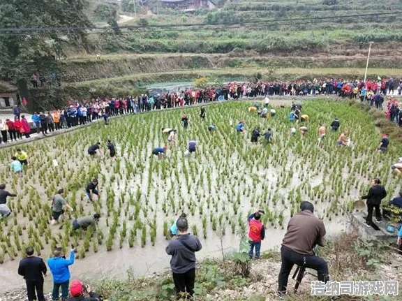 周末狂欢 金牌老司机 机密文件 专家点评：金牌老司机 团队协作技巧 金牌老司机：团队协作技巧与装备推荐