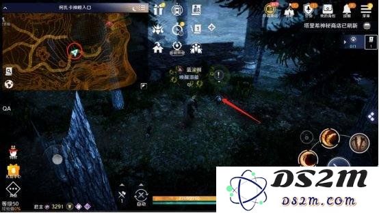 黑色沙漠手游中的熊猫怎么获得 熊猫获得途径：攻略揭秘，无限乐趣！
