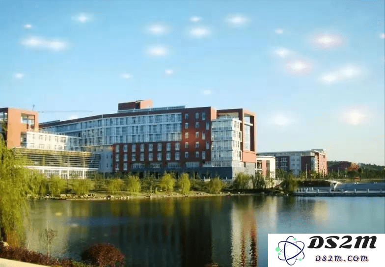 长沙理工大学的英雄联盟活动与学生电竞文化的深入探讨