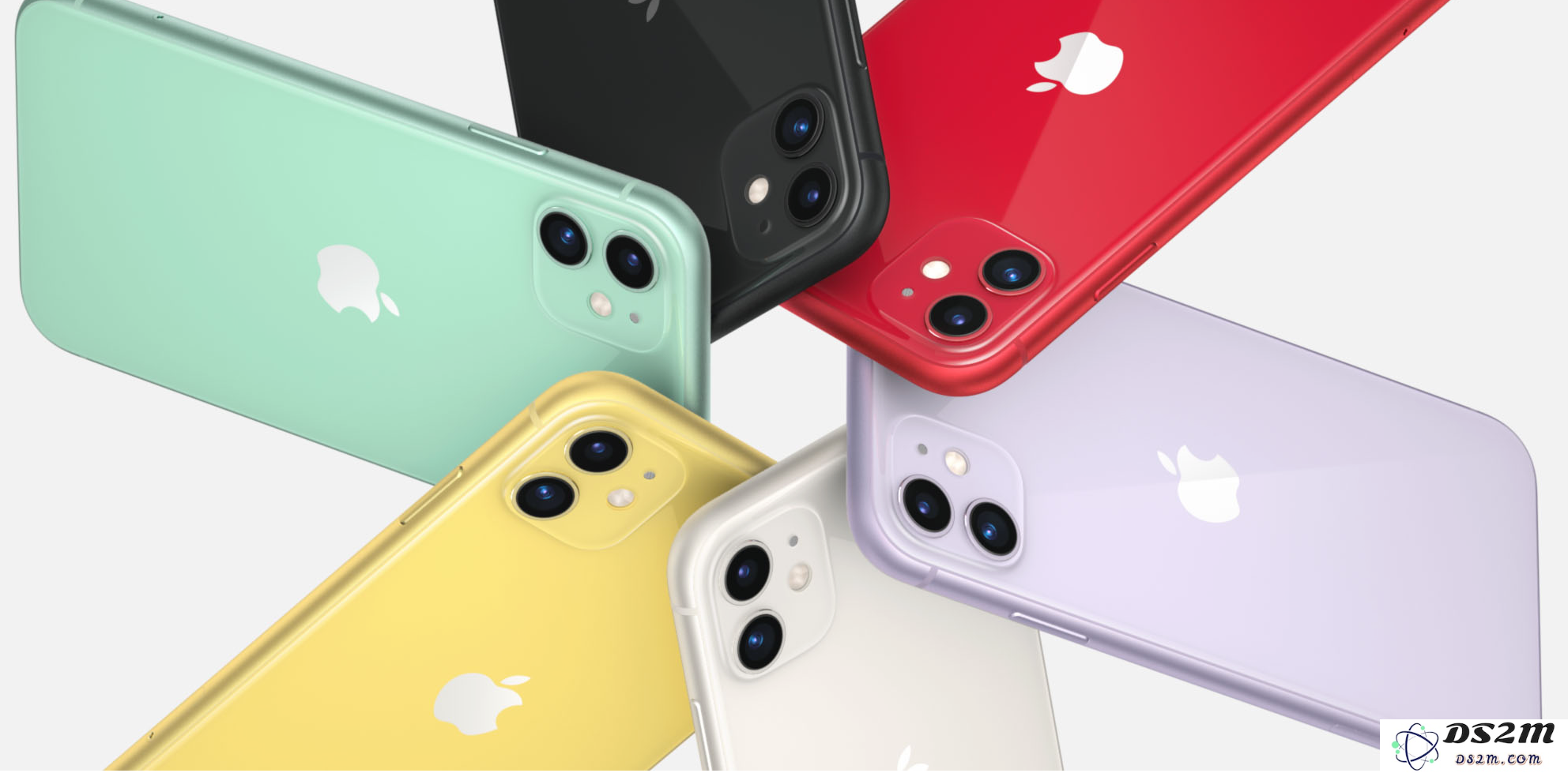 如果你的苹果iPhone 11手机屏幕进水后失灵，应该如何处理和解决这个问题？
