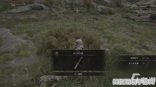 《艾尔登法环》交易行赚钱-今日热修V1.2-任天堂Switch-文字冒险-速通技巧