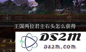 获取王国两位君主所需石头的详细方法与技巧介绍