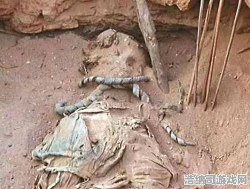 迷你世界 隐秘任务 专业分析：迷你世界 地图探险训练 迷你世界：地图探险训练技巧与赛事结果影响