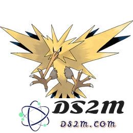 口袋妖怪复刻版中闪电鸟的最佳技能搭配建议与策略分析