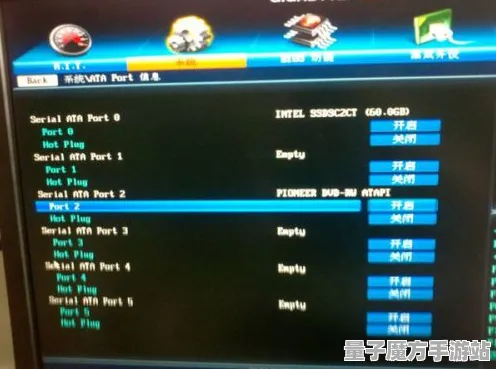 《率土之滨》插件设置-实时优化-每日快速修复-Windows全息版本-音频游戏体验增强
