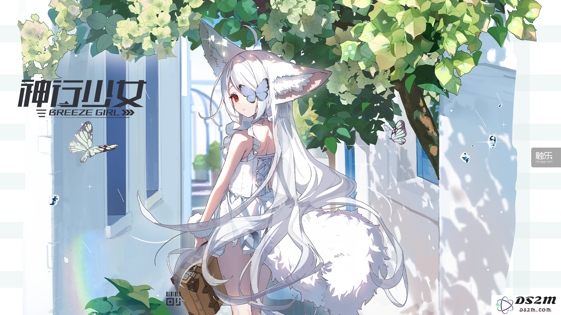 《神行少女》的背后故事：探讨一位父亲与他的儿子如何共同创业与成长的历程