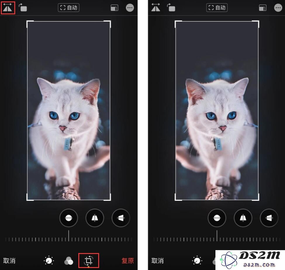 如何解决 iPhone 前置摄像头拍照时左右颠倒的问题？利用 iOS 13 的照片编辑功能进行简单调整