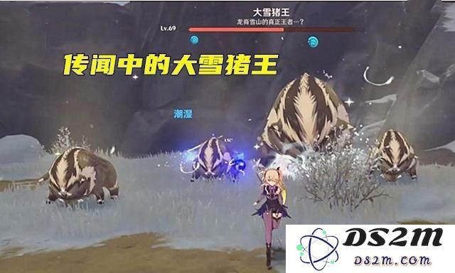 原神雪山猪王成就相关攻略与挑战解析，助你轻松获取成就！