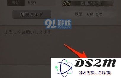 死亡爱丽丝新手玩家任务指南与冲刺任务的详细完成策略介绍
