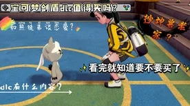 宝可梦剑盾 战术分析：宝可梦剑盾 游戏文化探讨 宝可梦剑盾的游戏文化探讨 赛事结果分析