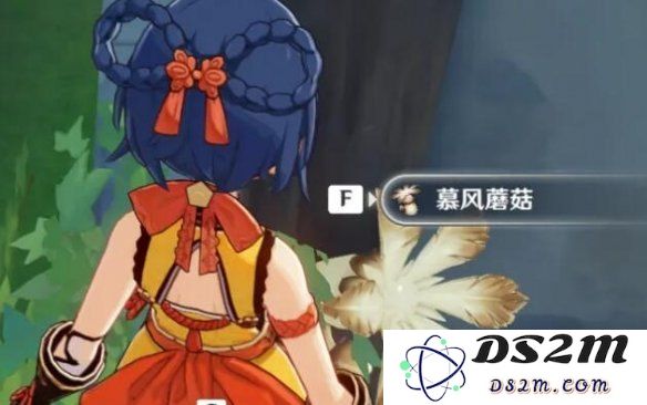 原神慕风蘑菇在哪里出现