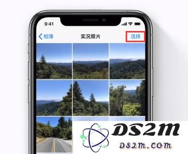 iOS 13 拍摄小窍门：轻松将多张实况照片合成完整视频作品的技巧