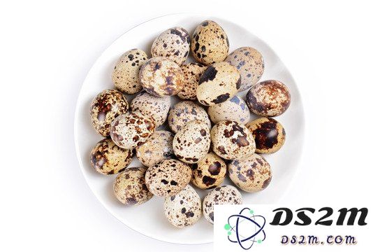 原神美味鸟蛋烧