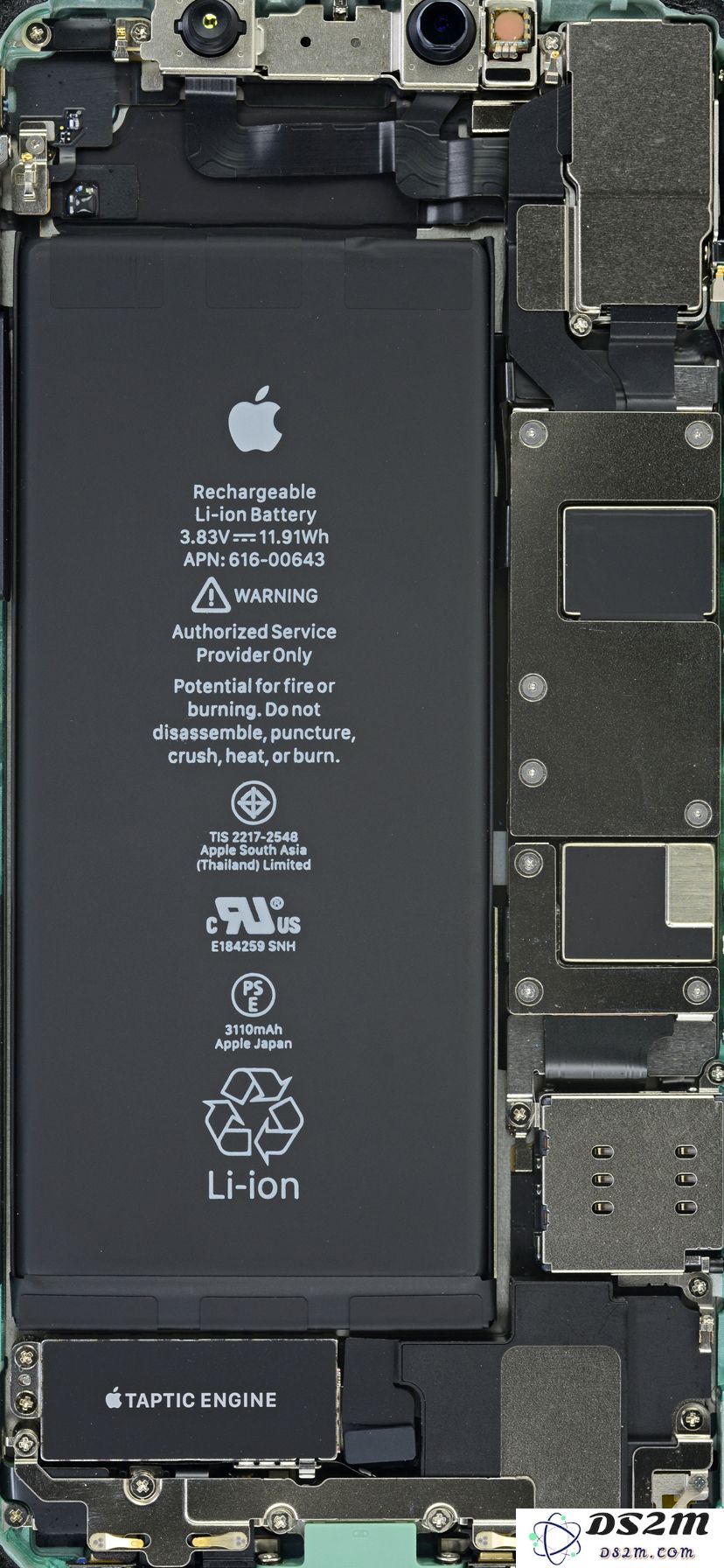 壁纸精选 | 全尺寸 iPhone 11 系列内部构造与 X 光透视图壁纸分享