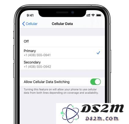 如何在 iPhone 11/11 Pro 上设置和区分主卡和副卡？