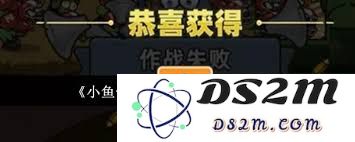 小鱼快跑游戏中如何挑选适合精灵历练的装备推荐与技巧