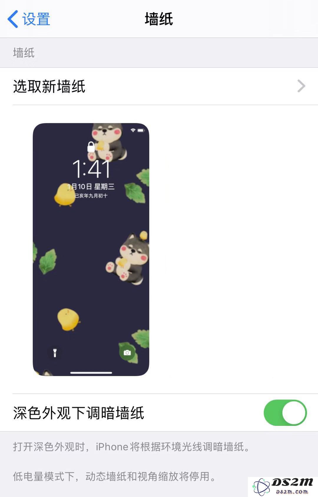 如何将 iPhone 11/11 Pro 的实况照片设置为炫酷的动态壁纸，提升手机个性化体验
