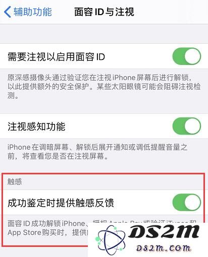 如何在 iPhone 11/11 Pro 上启用面容 ID 并设置触感反馈功能？