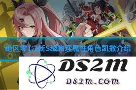 绝区零柳角色技能加点策略详解，让你轻松掌握最佳配置