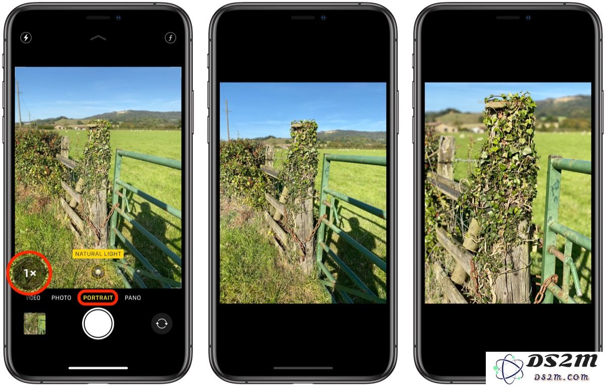 如何在 iPhone 11 Pro 系列的纵向摄影模式中灵活调整焦距设置？